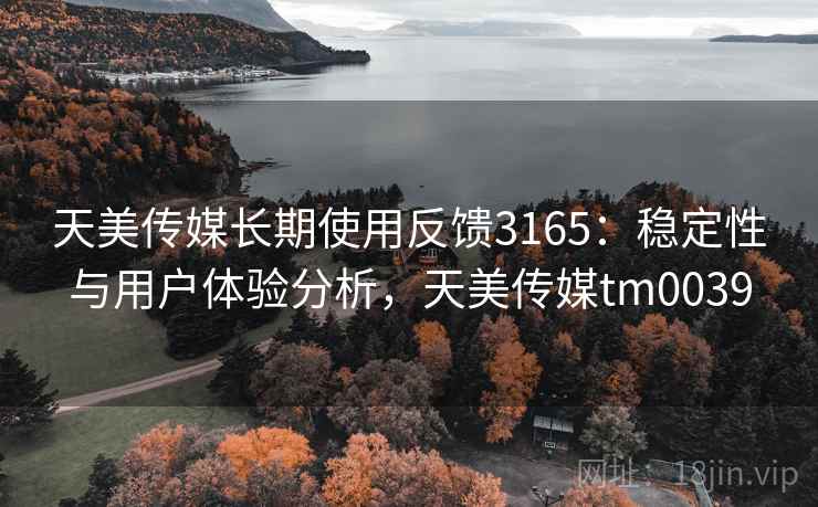 天美传媒长期使用反馈3165：稳定性与用户体验分析，天美传媒tm0039
