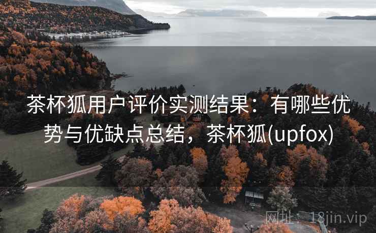 茶杯狐用户评价实测结果：有哪些优势与优缺点总结，茶杯狐(upfox)