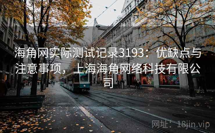 海角网实际测试记录3193：优缺点与注意事项，上海海角网络科技有限公司