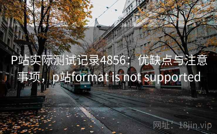 P站实际测试记录4856：优缺点与注意事项，p站format is not supported