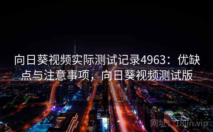 向日葵视频实际测试记录4963：优缺点与注意事项，向日葵视频测试版