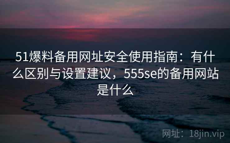 51爆料备用网址安全使用指南：有什么区别与设置建议，555se的备用网站是什么