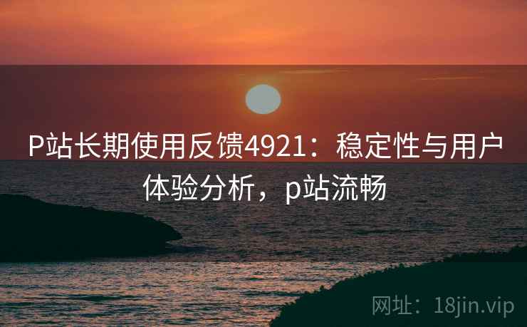 P站长期使用反馈4921：稳定性与用户体验分析，p站流畅