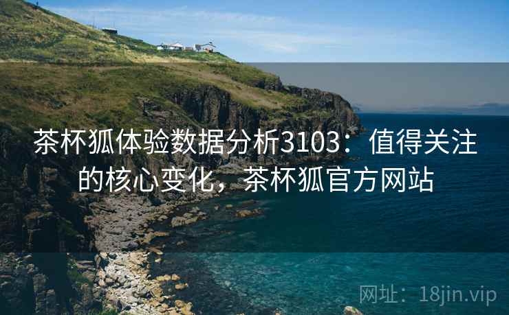 茶杯狐体验数据分析3103：值得关注的核心变化，茶杯狐官方网站