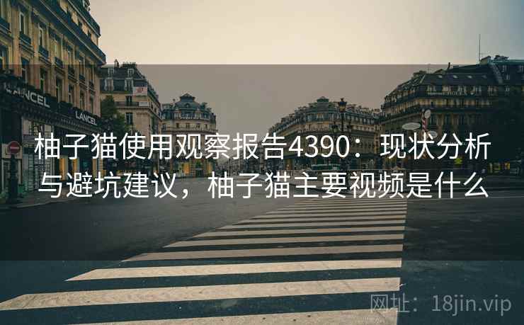 柚子猫使用观察报告4390：现状分析与避坑建议，柚子猫主要视频是什么
