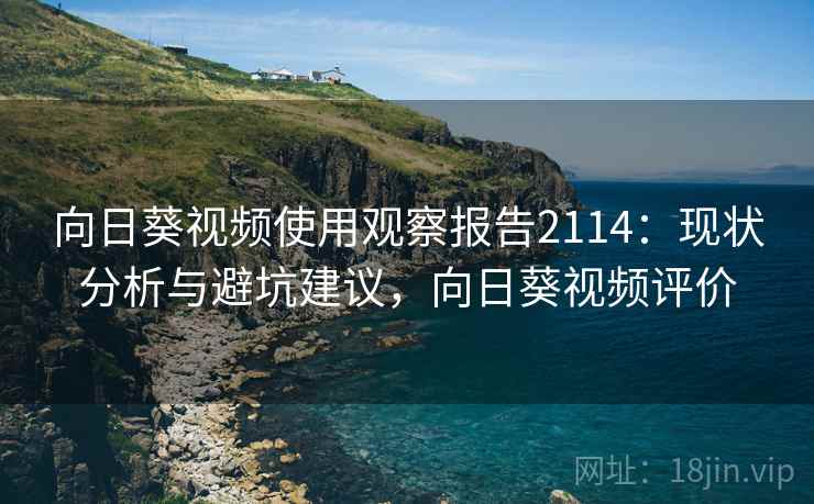 向日葵视频使用观察报告2114：现状分析与避坑建议，向日葵视频评价
